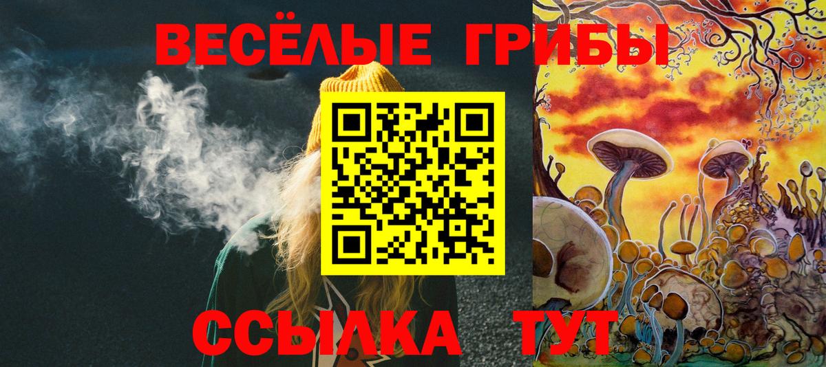 Псилоцибиновые грибы MAGIC MUSHROOMS  Вход с VPN  Отрадное  Галлюциногенные грибы ЛСД 