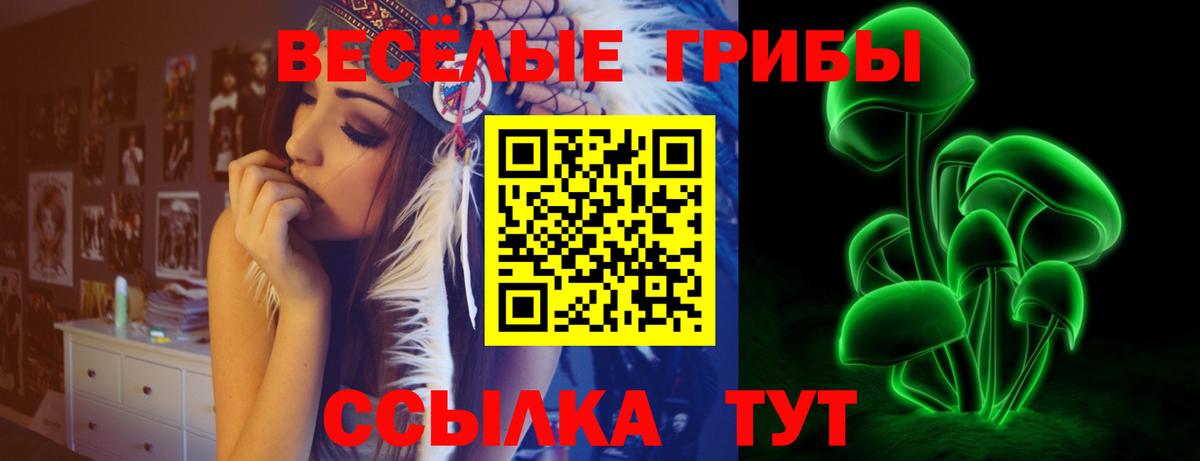 Галлюциногенные грибы GOLDEN TEACHER Отрадное